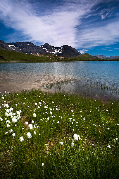 tableau decoratif, decoration, tableau decoration, tableau abstrait, paysage de vende, paysage de bretagne, paysage de mer, cadeau,At the Estaris Lake in France. Here you can see coton grass and some snow from the last summer 2010,alpes