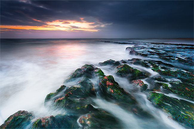 vendee paysage