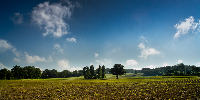 tableau decoratif, decoration, tableau decoration, tableau abstrait, paysage de vende, paysage de bretagne, paysage de mer, cadeau,Nantes, Erdre, valle, champ, arbre, soleil, yellow, bleu, ciel nuages, bord de loire