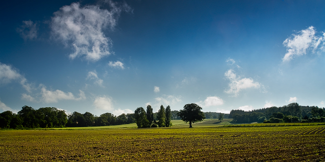 tableau decoratif, decoration, tableau decoration, tableau abstrait, paysage de vende, paysage de bretagne, paysage de mer, cadeau,Nantes, Erdre, valle, champ, arbre, soleil, yellow, bleu, ciel nuages, bord de loire