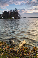 tableau decoratif, decoration, tableau decoration, tableau abstrait, paysage de vende, paysage de bretagne, paysage de mer, cadeau,Nantes, Erdre, valle, papillon, champ, arbre, soleil, yellow, bleu, ciel nuages, bord de loire