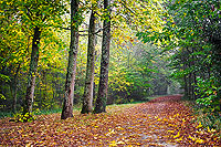 tableau decoratif, decoration, tableau decoration, tableau abstrait, paysage de vende, paysage de bretagne, paysage de mer, cadeau,Nantes, Erdre, valle, papillon, champ, arbre, soleil, yellow, bleu, ciel nuages, bord de loire