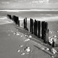 tableau decoratif, decoration, tableau decoration, tableau abstrait, paysage de vende, paysage de bretagne, paysage de mer, cadeau,noir et blanc,Normandie, Haute-Normandie, Etretat, Dbarquement, mmorial de caen, soldats, secondes guerre mondiale, plage, ciel, galets, couleur, falaise, deauville, mer, vague, soleil, rivage, hiver, briseur de vague
