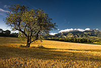 tableau decoratif, decoration, tableau decoration, tableau abstrait, paysage de vende, paysage de bretagne, paysage de mer, cadeau,50 ans du lac de serre-ponon, anniversaire du lac de serre-ponon, pic de morgon, serre-ponon, EDF, embrun, savines le lac, coucher de soleil, massif des crins, montagne, paysage, t, chorges, arbres,alpes
