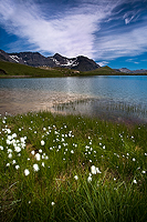 tableau decoratif, decoration, tableau decoration, tableau abstrait, paysage de vende, paysage de bretagne, paysage de mer, cadeau,At the Estaris Lake in France. Here you can see coton grass and some snow from the last summer 2010,alpes