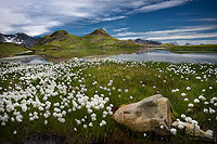 tableau decoratif, decoration, tableau decoration, tableau abstrait, paysage de vende, paysage de bretagne, paysage de mer, cadeau,photo de paysage des alpes, 50 ans du lac de serre-ponon, anniversaire du lac de serre-ponon, pic de morgon, rivage, t, parc national des crins, estaris, lac, herbe  coton,alpes